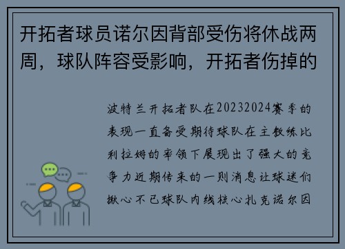 开拓者球员诺尔因背部受伤将休战两周，球队阵容受影响，开拓者伤掉的球星