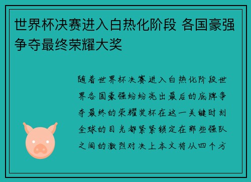 世界杯决赛进入白热化阶段 各国豪强争夺最终荣耀大奖