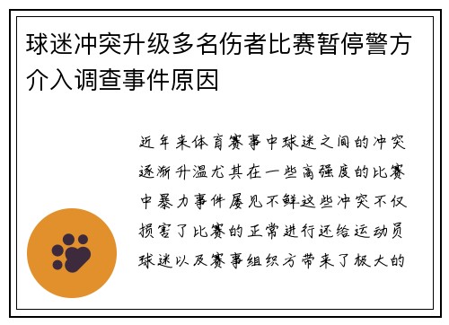 球迷冲突升级多名伤者比赛暂停警方介入调查事件原因